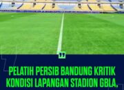 Pelatih Persib Bandung Keluhkan Kondisi Lapangan Stadion GBLA: Rumput Seperti Sintesis 