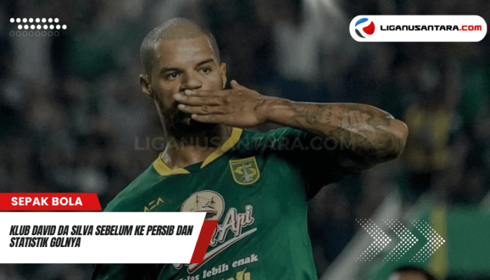 Klub David da Silva Sebelum ke Persib dan Statistik Golnya