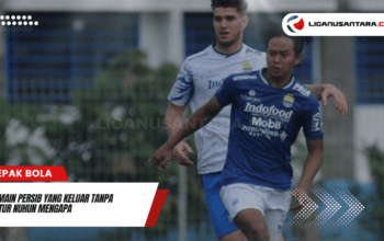 Pemain Persib yang Keluar Tanpa Hatur Nuhun Mengapa Beberapa Pemain Persib Pergi Tanpa Perpisahan