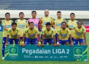 Gresik United Transfermarkt: Nilai Pemain dan Profil Klub 2025