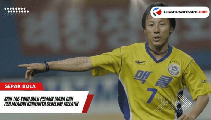 Shin Tae-Yong Dulu Pemain Mana dan Perjalanan Kariernya Sebelum Melatih