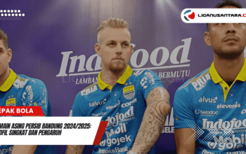 Pemain Asing Persib Bandung 2024/2025