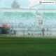 Tiket Laga PSS Sleman vs Dewa United Resmi Terjual Habis
