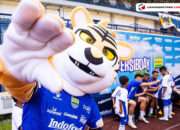 Persib Semakin Dekat Dengan Bobotoh di Persibday Festival 2025 Persib Semakin Dekat Dengan Bobotoh di Persibday Festival 2025
