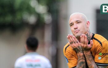 Radja Nainggolan