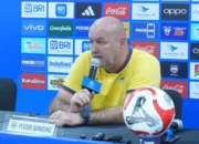 Pelatih Persib, Bojan Hodak