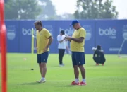 Pelatih Persib, Bojan Hodak