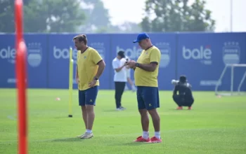 Pelatih Persib, Bojan Hodak